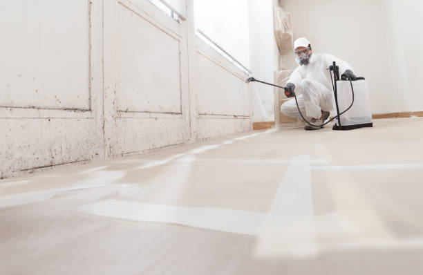 24/7 Emergency Mold Remediation experts in Jackson, MI
