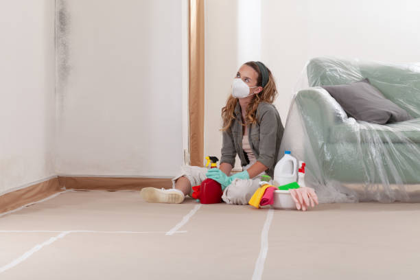 Reliable Mold Remediation contractor in Jackson, MI by Mold Remediation HQ